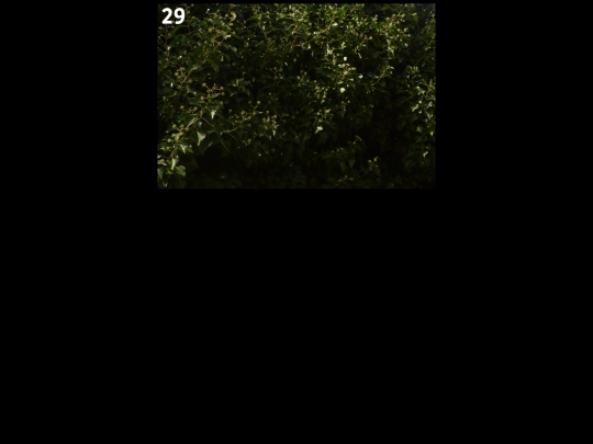 pronton/agent screenshot