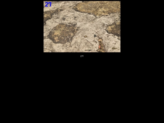 pronton/level27 screenshot