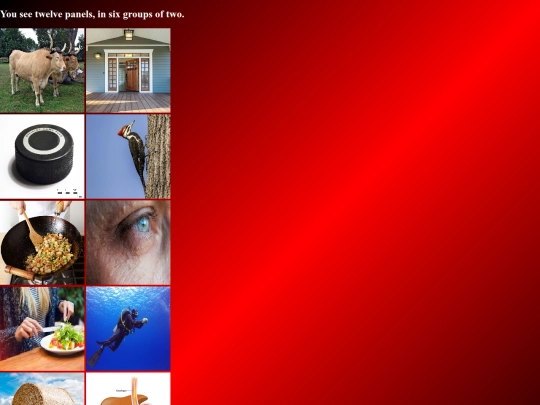 wonderland/anagram screenshot