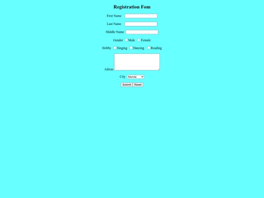 registration/form1 screenshot
