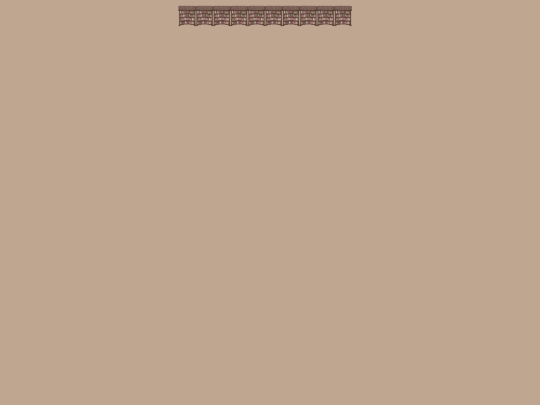 border screenshot