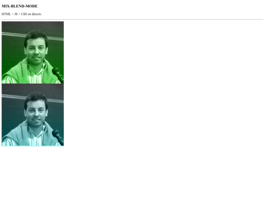 css screenshot