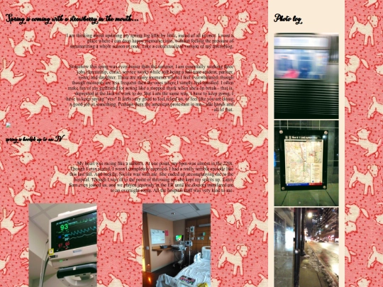 spring25 screenshot