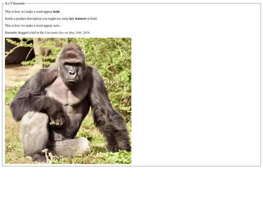 boldanditalicharambe screenshot