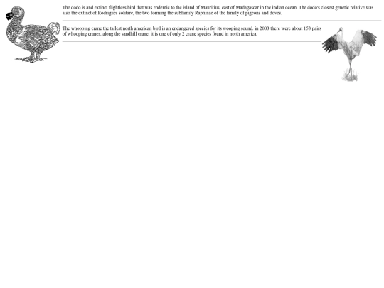 images2 screenshot