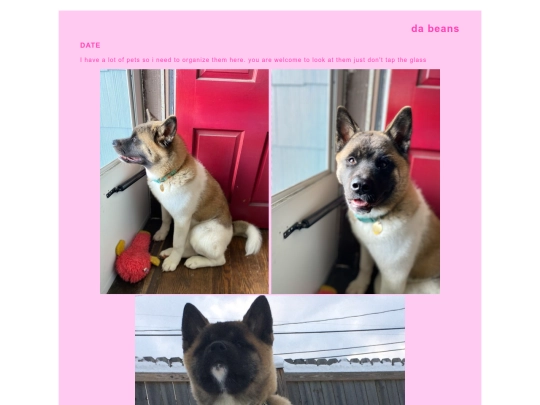 personal/pets screenshot