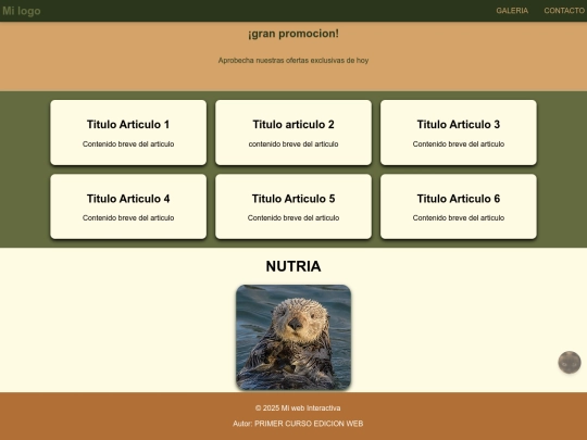 ejercicio animaciones/Footer screenshot