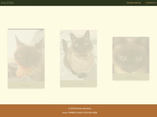 ejercicio animaciones/galeria screenshot