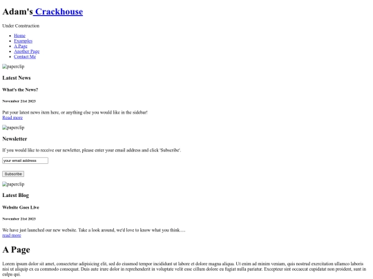 page screenshot