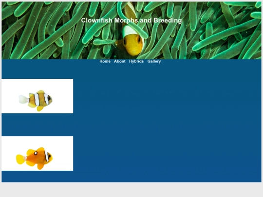 clarkii-morphs screenshot