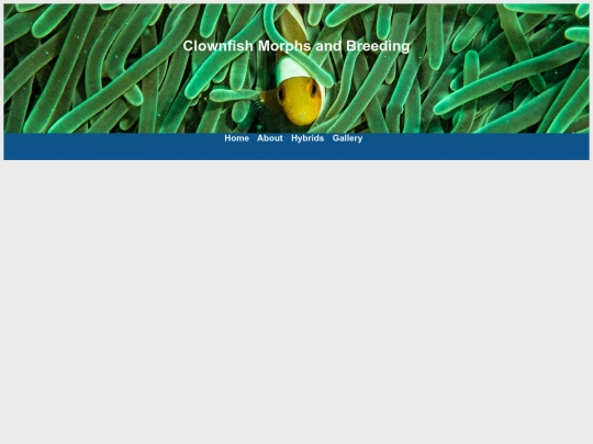 gallery screenshot
