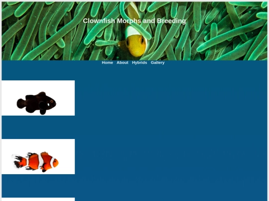 ocellaris-morphs screenshot