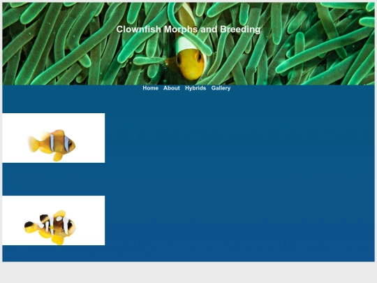 redsea-morphs screenshot