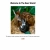 The Deer Shack of Dio9sys avatar