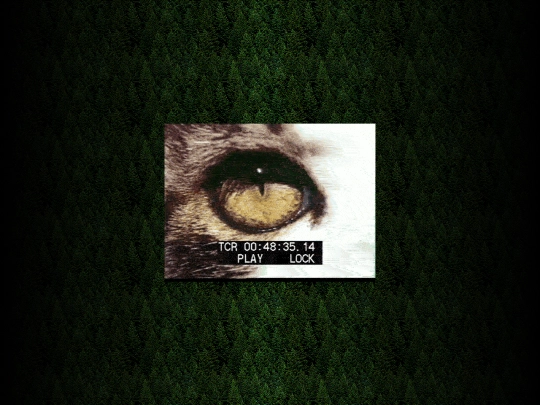 iamyou screenshot