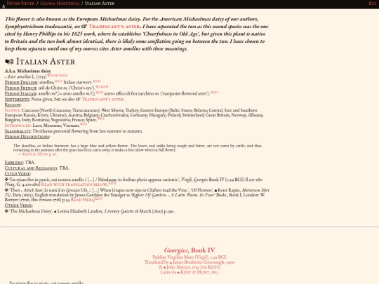 glossahortensia/aster_amellus screenshot