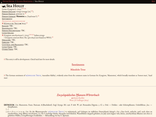 glossahortensia/eryngium screenshot