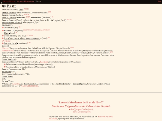 glossahortensia/ocimum_basilicum screenshot