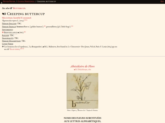 glossahortensia/ranunculus_repens screenshot