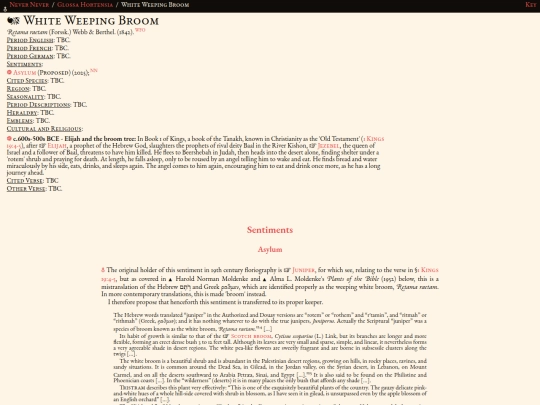 glossahortensia/retama_raetam screenshot