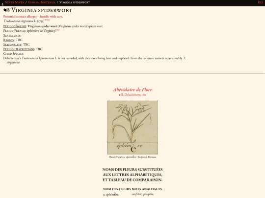 glossahortensia/tradescantia_virginiana screenshot