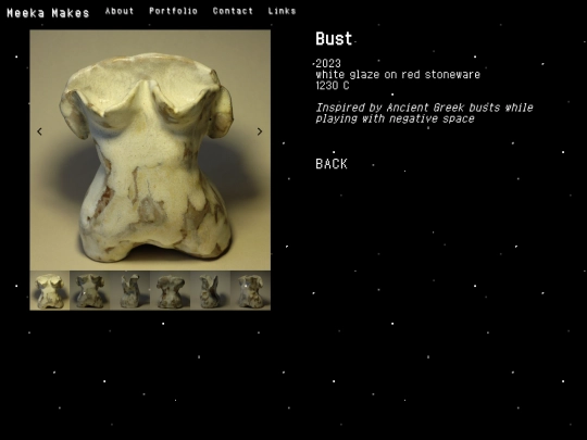 bust screenshot