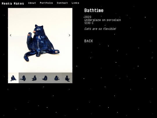 catbath screenshot