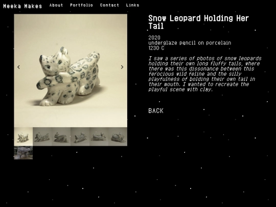 snowleopard screenshot