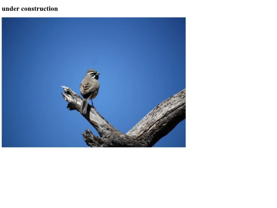 fotos screenshot