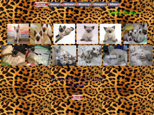 Dusty screenshot