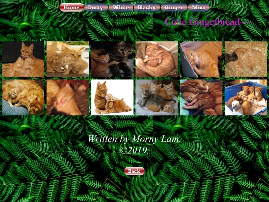 Ginger screenshot