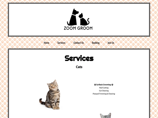 services screenshot