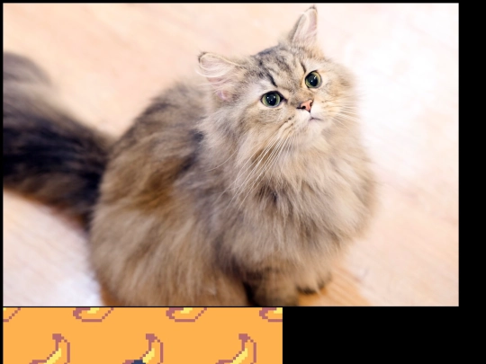 cutecatbutton screenshot