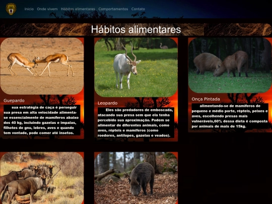 Apresentação /teste screenshot