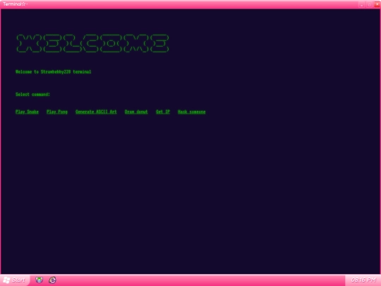 terminal screenshot