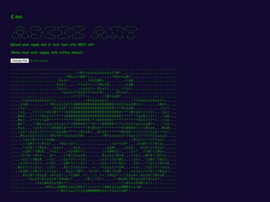 terminal/ascii screenshot
