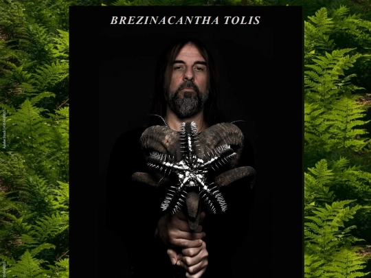 BrezinacanthaTolis screenshot
