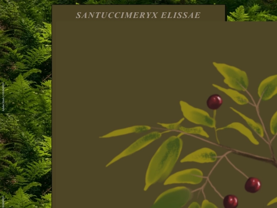 SantuccimeryxElissae screenshot