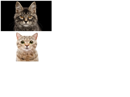 test/test screenshot