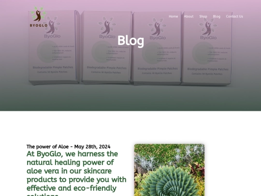 blog screenshot