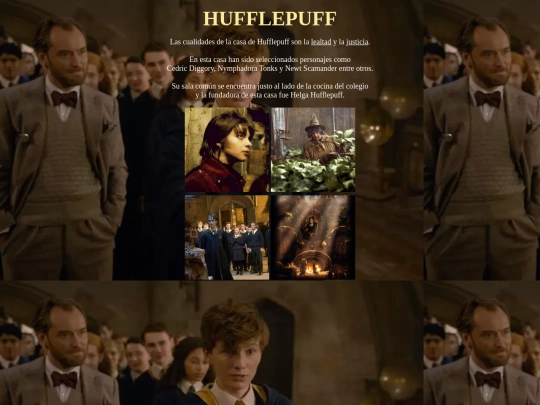 ProyectoFinal/casas/hufflepuff screenshot