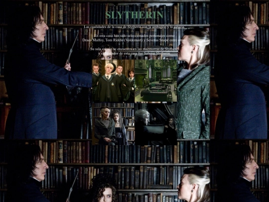 ProyectoFinal/casas/slytherin screenshot