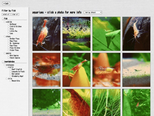 aquarium screenshot