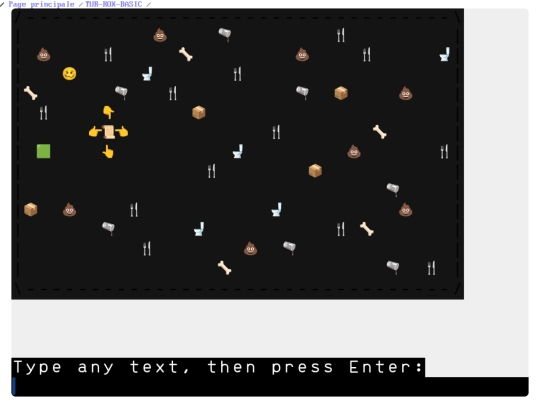 TUR-ROX-BASIC/play_tur_rox_basic screenshot