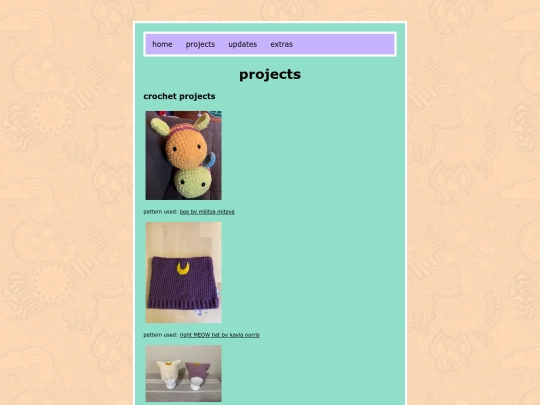 projects screenshot