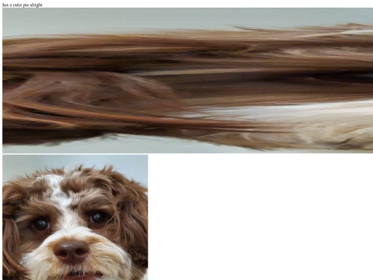 mydog screenshot