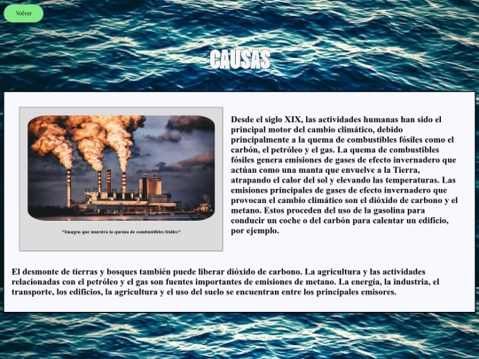 pagina/causas screenshot