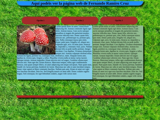 evaluar/evaluar3 screenshot