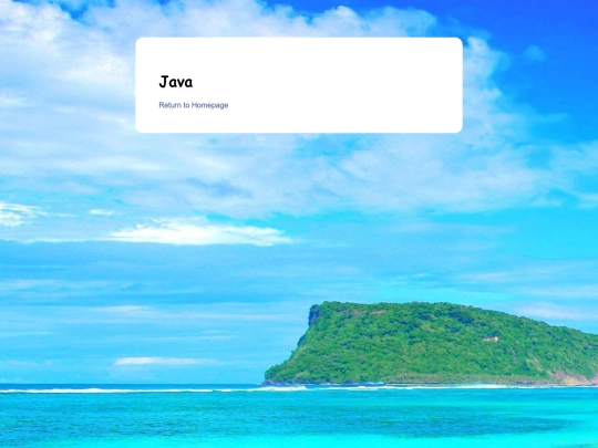 java screenshot