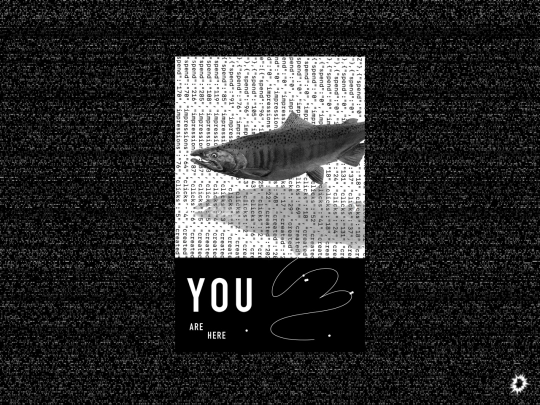 fishzine screenshot